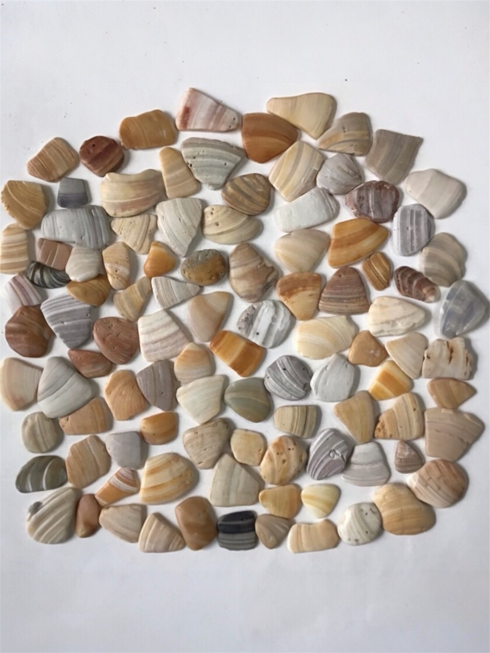 Seashell Fragments 100 Clam Shell Smooth Mosiac Pieces Jewelry Art Craft Decor